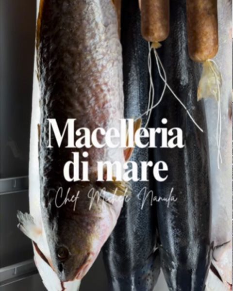 Macelleria di Mare🐟